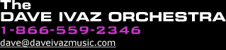 The Dave Ivaz Orchestra 847-724-3731